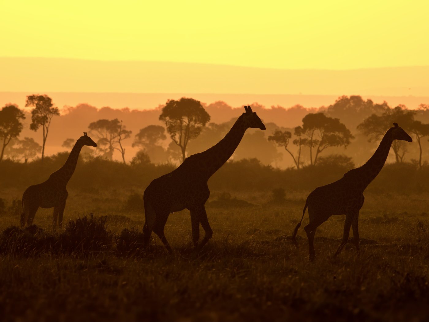 Hargeisa, Somaliland
