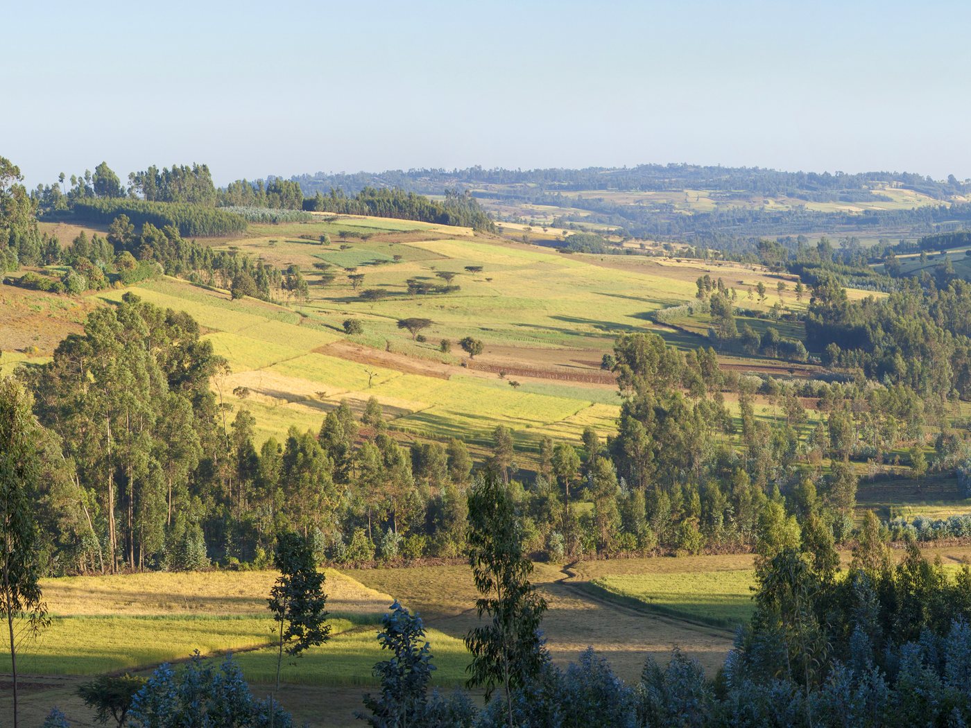 Jigjiga, Ethiopia