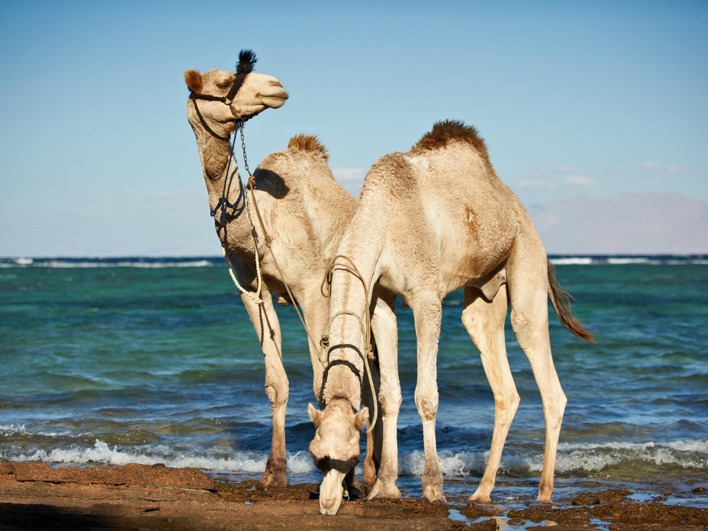 Mogadishu, Somalia